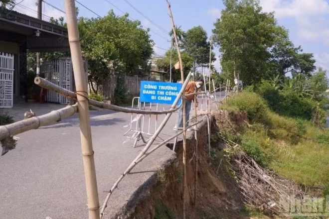Tình trạng sạt lở bờ sông Hiếu trên địa bàn ngày càng nghiêm trọng.