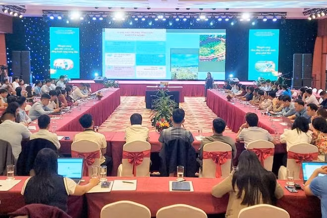 Hội nghị tập huấn “Bàn giải pháp nâng cao hiệu quả hoạt động khuyến nông cơ sở trong mô hình tổ chức chính quyền địa phương 2 cấp” được tổ chức tại tỉnh Quảng Trị.