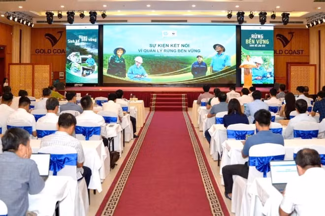 “Sự kiện kết nối vì quản lý rừng bền vững” được tổ chức tại phường Đồng Hới, tỉnh Quảng Trị.