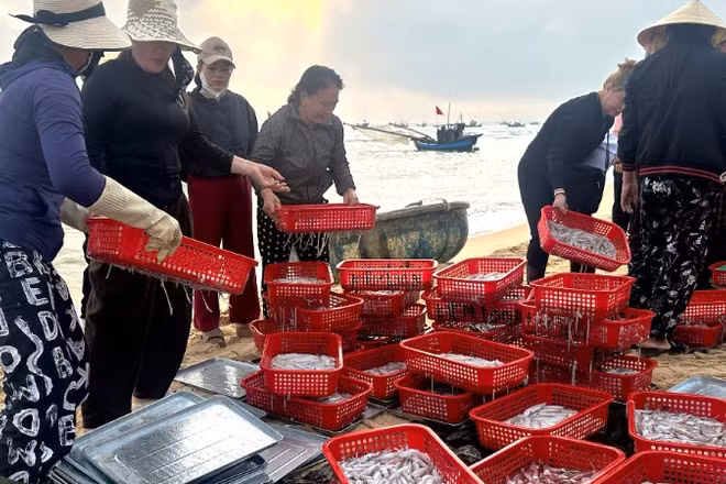 Chợ cá Nhân Trạch họp bên mép sóng tấp nấp mua bán hải sản buổi sáng sớm.