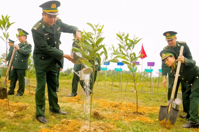 Cán bộ, chiến sĩ Bộ đội Biên phòng tỉnh Quảng Trị ra quân trồng cây đầu xuân Bính Ngọ 2026.