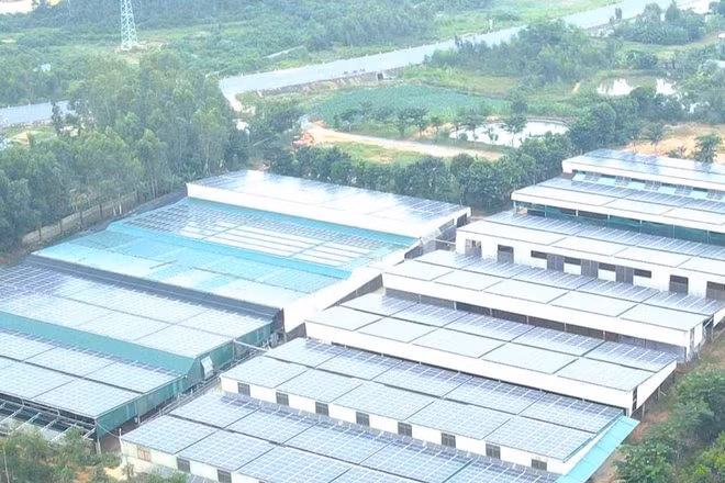 Một trang trại sản xuất sử dụng điện mặt trời ở phía bắc tỉnh Quảng Trị. (Ảnh: HG)