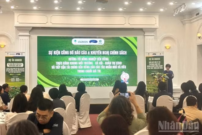 Đông đảo đại biểu đến từ đại diện các cơ quan quản lý nhà nước, ngân hàng thương mại, tổ chức tài chính, doanh nghiệp nông nghiệp, hợp tác xã, hiệp hội ngành hàng, viện nghiên cứu, tổ chức phát triển, chuyên gia trong lĩnh vực nông nghiệp bền vững và tài chính xanh cùng các cơ quan báo chí, truyền thông đã tham dự sự kiện. (Ảnh: HNV)