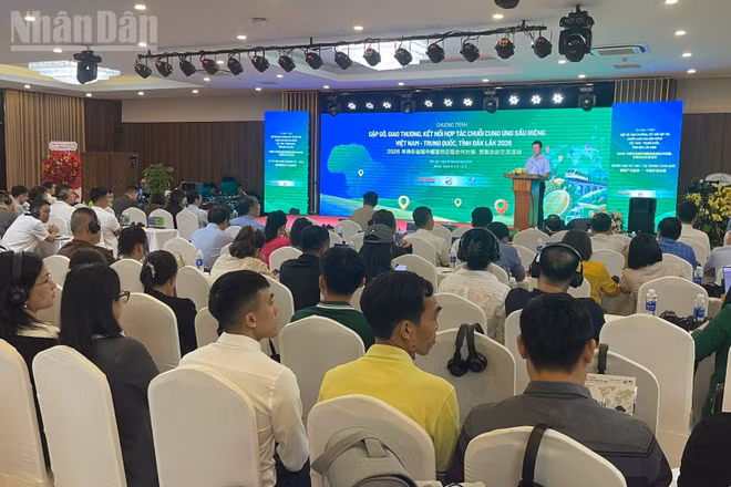 Quang cảnh chương trình gặp gỡ, giao thương, kết nối, hợp tác chuỗi cung ứng sầu riêng Việt Nam-Trung Quốc, tỉnh Đắk Lắk năm 2026. (Ảnh: Nguyễn Công Lý)