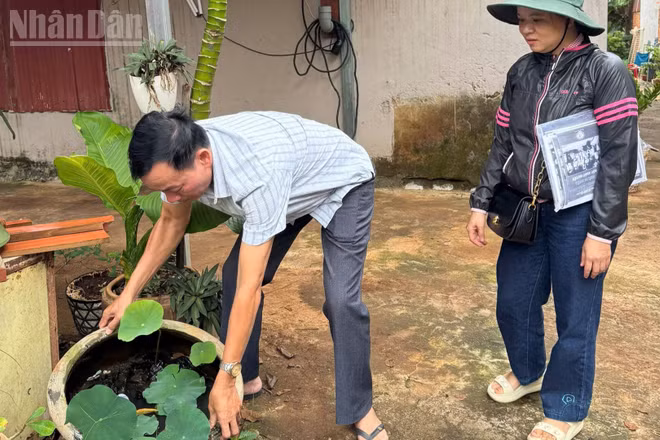 Ban Tự quản Tổ dân phố 12 Tân Lợi, phường Buôn Ma Thuột xử lý nước các chậu chứa nước diệt lăng quăng, phòng, chống sốt xuất huyết. (Ảnh: Công Lý)