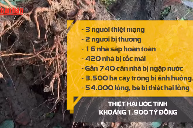 [Video] Đắk Lắk: 3 người thiệt mạng do bão số 13
