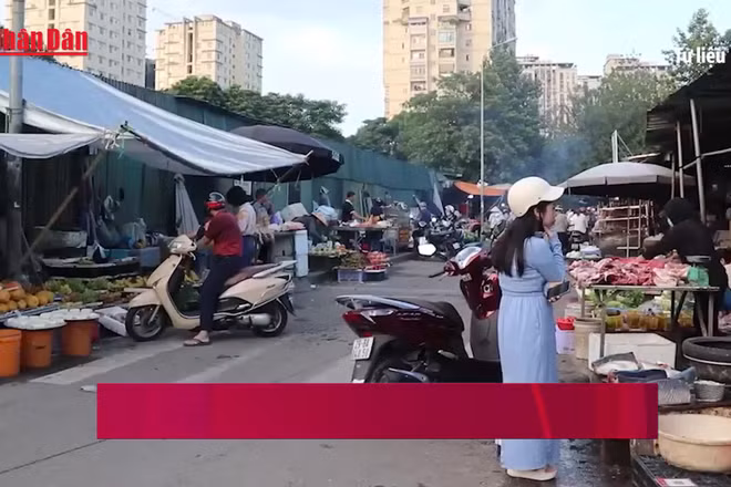 [Video] Giá rau tăng mạnh, bữa cơm nhiều gia đình bị “thu hẹp”