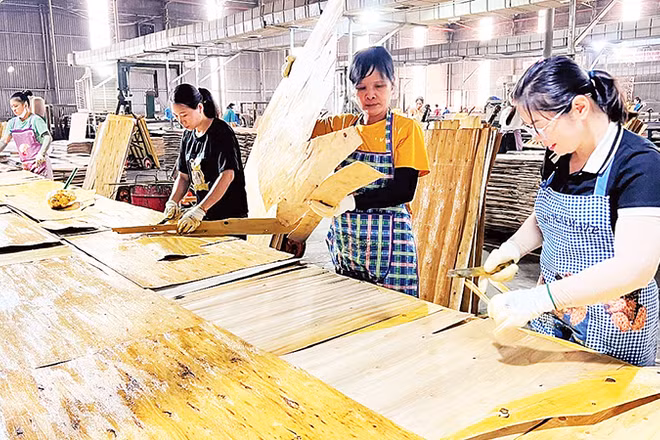 Sản xuất tại Công ty TNHH Lechenwood Việt Nam trong Khu công nghiệp Thanh Bình.