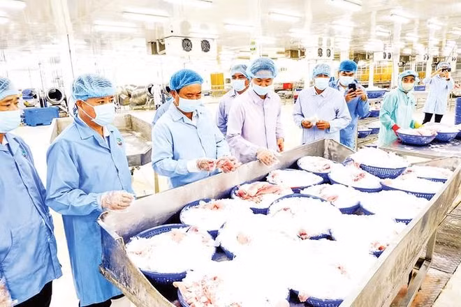 Lĩnh vực chế biến và xuất khẩu thủy, hải sản góp phần vào tăng trưởng kinh tế của tỉnh.