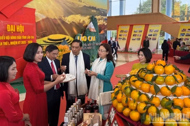 Các đại biểu tham quan gian hàng của nông dân tại Đại hội. (Ảnh: THANH SƠN)