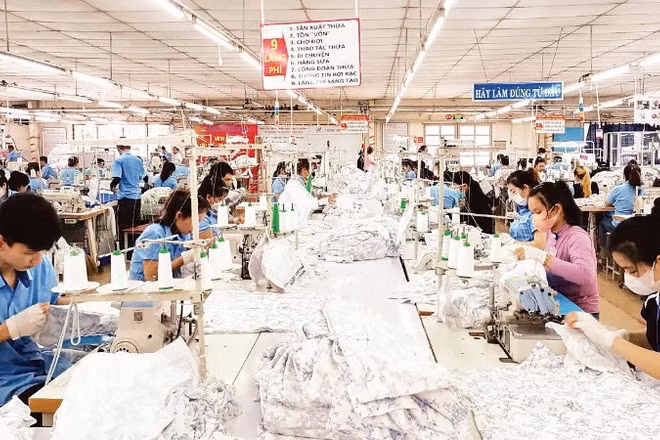 Sản xuất hàng may mặc xuất khẩu tại Tổng công ty cổ phần Dệt may Hòa Thọ.