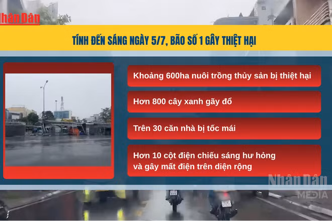 [Video] Bão số 1 gây thiệt hại tại Móng Cái, hàng chục nhà tốc mái, hàng trăm cây xanh gãy đổ