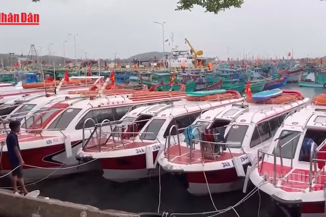 [Video] Hàng loạt ca nô và tàu du lịch tại Phú Quốc tạm dừng hoạt động