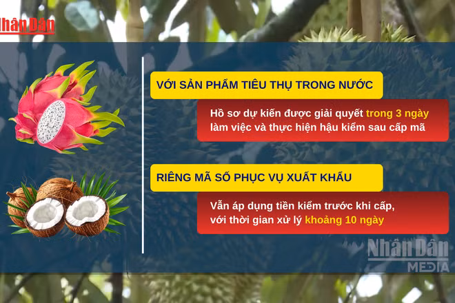 [Video] Tháo gỡ vướng mắc trong cấp mã số vùng trồng, cơ sở đóng gói