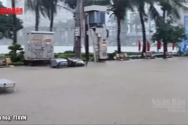[Video] Dự báo thời tiết ngày 4/7: Bắc Bộ mưa lớn do ảnh hưởng bão số 1