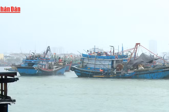 [Video] Bộ Công Thương yêu cầu chủ động ứng phó bão số 1 và mưa lũ sau bão