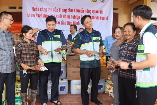 Các cán bộ khuyến nông tư vấn, hướng dẫn kỹ thuật và hỗ trợ người dân khôi phục sản xuất nông nghiệp sau mưa lũ.