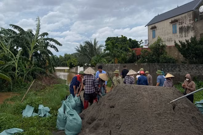 Phụ nữ phường Tân An phối hợp cùng các lực lượng chức năng gia cố đê. (Ảnh: PN)