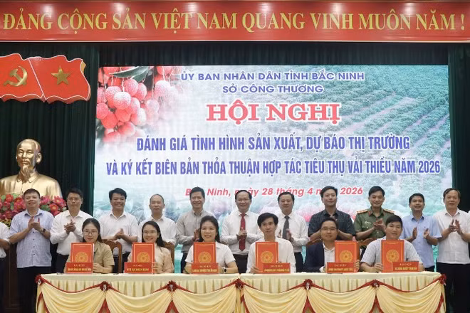 Dưới sự chứng kiến của lãnh đạo tỉnh, các đơn vị liên quan đã ký kết biên bản thỏa thuận hợp tác tiêu thụ vải năm 2026.
