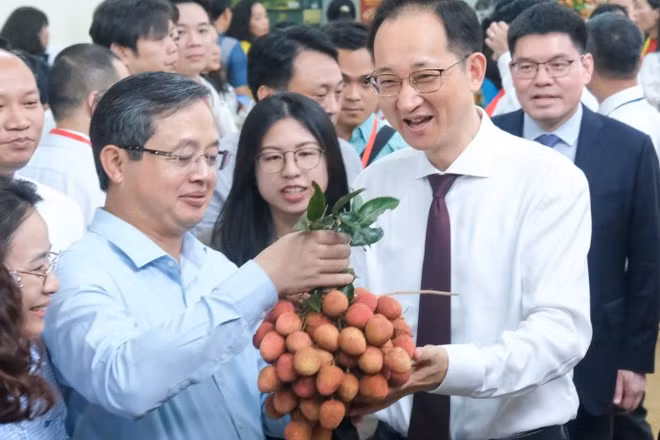Chủ tịch Ủy ban nhân dân tỉnh Bắc Ninh Phạm Hoàng Sơn (áo xanh thứ hai từ trái sang) giới thiệu sản phẩm vải thiều với các đại biểu quốc tế.