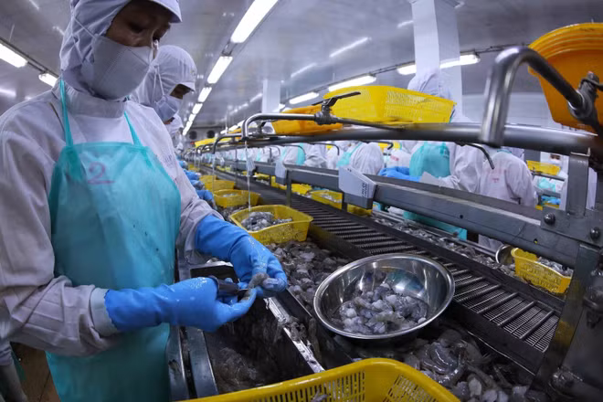 Khu vực nông, lâm nghiệp và thủy sản tăng 3,58%. Ảnh: TTXVN