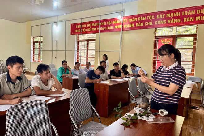 Hướng dẫn kỹ thuật canh tác thích ứng với biến đổi khí hậu cho nông dân xã Phan Thanh.