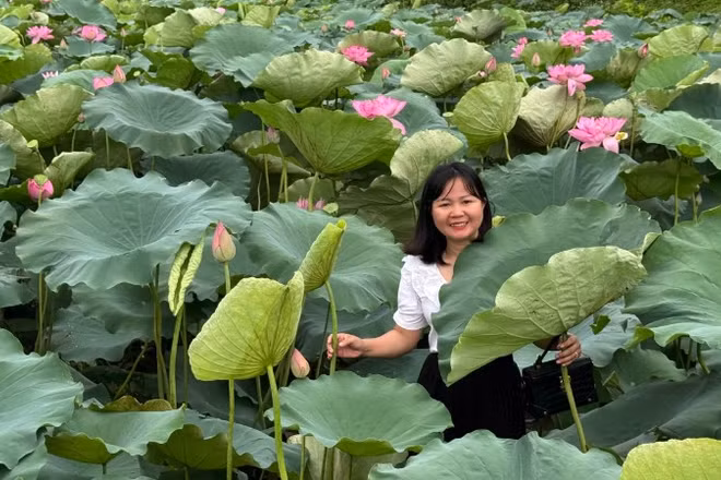 Các đầm sen của Bắc Ninh là địa điểm được nhiều người lựa chọn chụp ảnh, lưu giữ kỷ niệm.