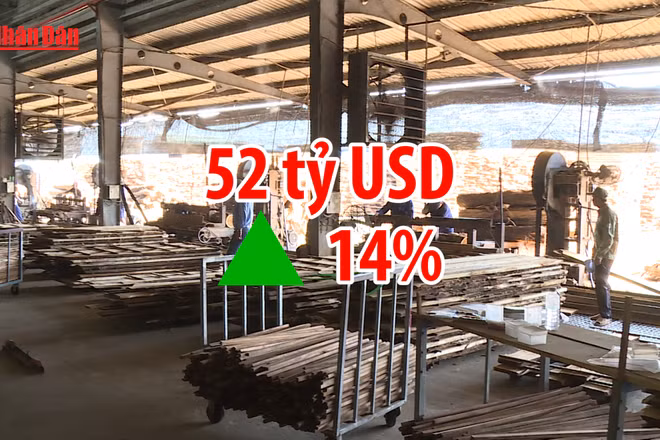 [Video] Xuất khẩu nông lâm thủy sản vượt 52 tỷ USD sau 9 tháng