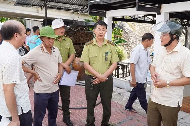 Lực lượng chức năng, Ủy ban nhân dân xã Tiểu Cần, tỉnh Vĩnh Long phối hợp xác minh thông tin cá sấu lớn nổi trên sông Tiểu Cần.