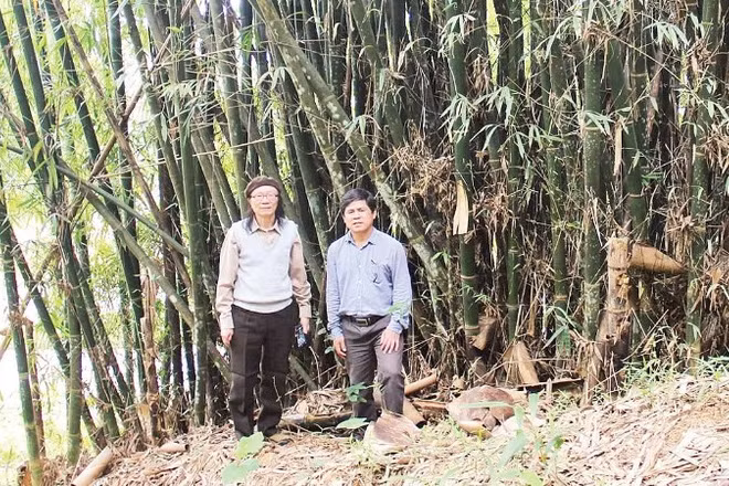 Cán bộ Viện Hàn lâm Khoa học và Công nghệ Việt Nam trong một chuyến nghiên cứu, tìm hiểu về các loại tre trúc tại khu vực Tây Nguyên. (Ảnh DUY MINH)
