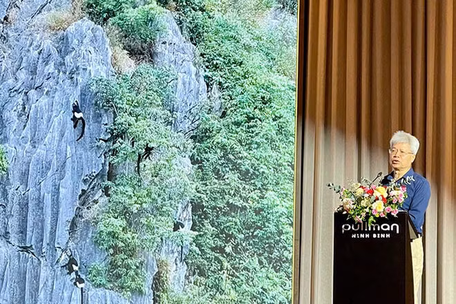 Voọc mông trắng - loài linh trưởng quý, hiếm. (Ảnh: HÀ NAM)