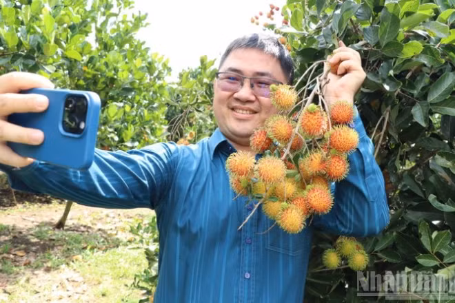 Du khách háo hức trải nghiệm vườn trái cây ở phường Bình Lộc.