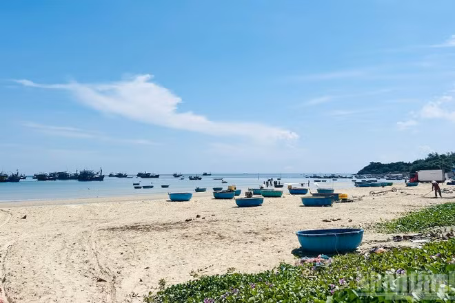 Làng chài thôn Châu Thuận Biển mang vẻ hoang sơ, huyền bí.