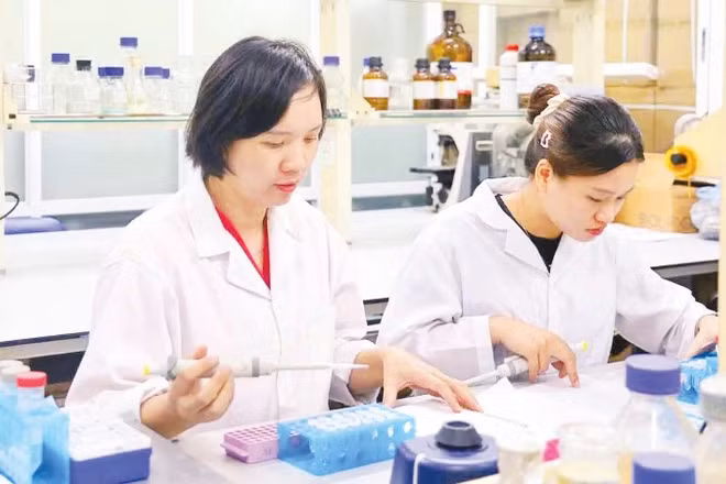 Nghiên cứu chiết xuất hoạt chất vitexin từ vỏ đỗ xanh góp phần tăng hiệu quả điều trị tiểu đường. (Ảnh: MINH ĐỨC)