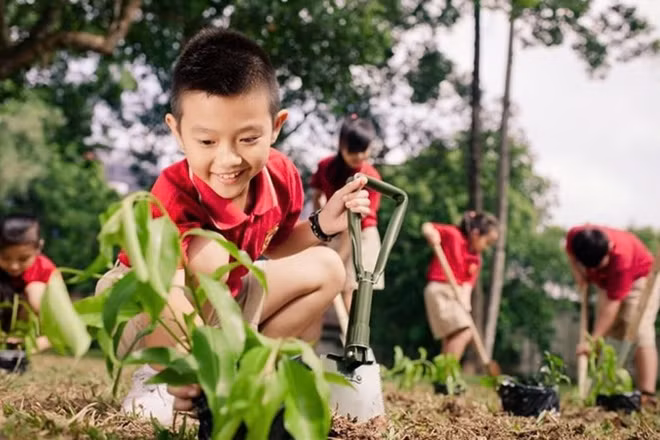 Chỉ cần mỗi cá nhân nhận biết các hành động tiết kiệm năng lượng, giảm rác thải nhựa... là có thể mang đến một đời sống phát triển xanh và bền vững.
