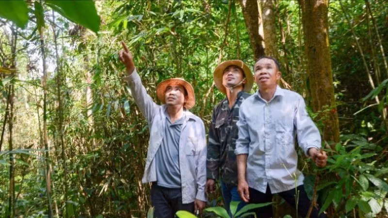 Các chủ rừng tại tỉnh Điện Biên thực hiện tuần tra, bảo vệ rừng trên diện tích được chi trả dịch vụ môi trường rừng.