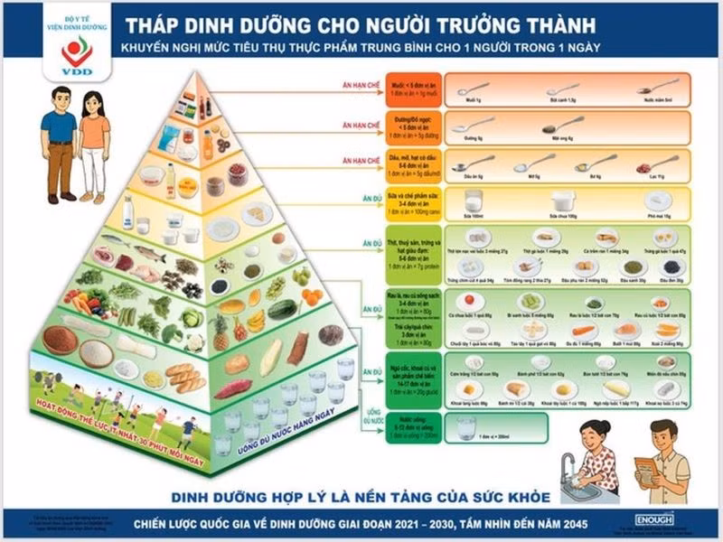 Tháp dinh dưỡng cho người trưởng thành do Viện Dinh dưỡng (Bộ Y tế) khuyến nghị. (Ảnh: Viện Dinh dưỡng)