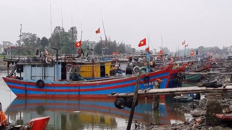 Nhiều tàu cá ở Thanh Hóa đã vào nơi neo đậu, tránh bão.