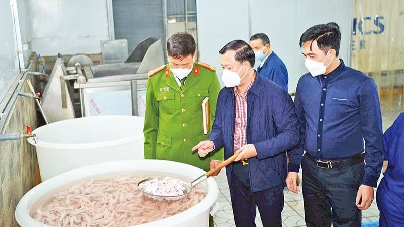 Kiểm tra công tác vệ sinh an toàn thực phẩm tại Công ty TNHH sản xuất chế biến thực phẩm Alishan thuộc địa bàn Hà Nội. (Ảnh: THU TRANG)
