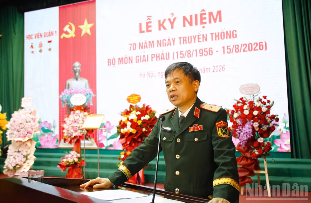 ndo_br_giai-phau-3.jpg