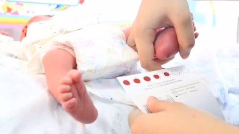 Lấy máu gót chân sàng lọc bệnh cho trẻ sơ sinh.