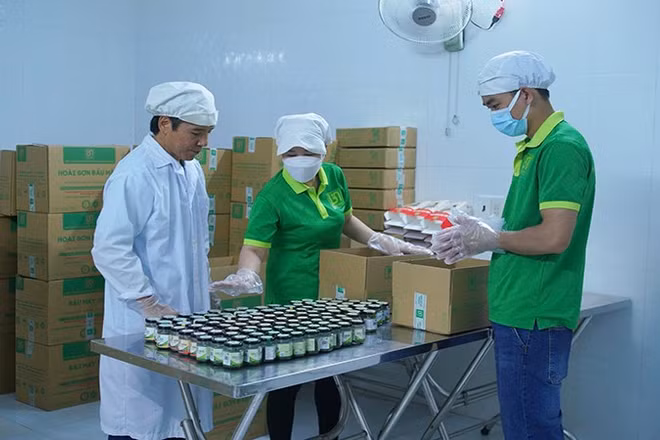 Giám sát một lô sản phẩm hồ tiêu trước khi đóng gói ở Hợp tác xã Bàu Mây. (Ảnh: Cộng tác viên)