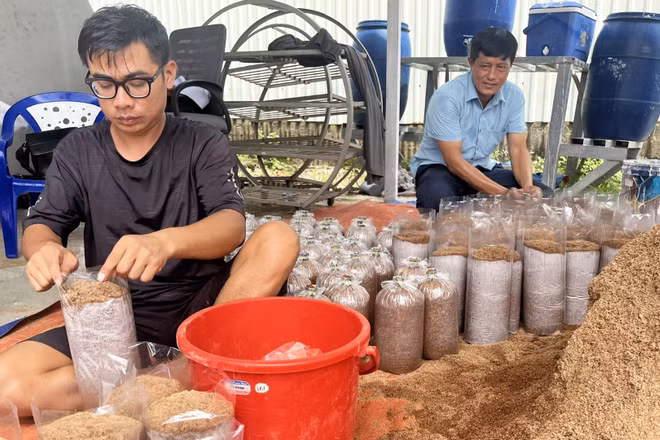 Cho mùn cưa vào bịch ni-lông làm giá thể trồng nấm. (Ảnh: CTV)