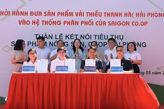 Đại diện Saigon Co.op cùng các doanh nghiệp, hợp tác xã và nhà cung cấp ký kết hợp tác tiêu thụ nông sản, hàng OCOP Hải Phòng.