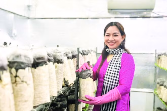 Chị Châu Thị Nương trồng nấm sạch đạt hiệu quả kinh tế cao.