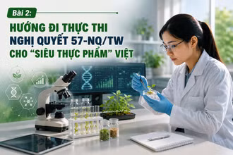 AI có thể hỗ trợ phân tích dữ liệu nguồn gene, đặc điểm sinh trưởng và chất lượng cây trồng, qua đó rút ngắn quá trình chọn tạo giống (Ảnh minh hoạ có sử dụng AI)
