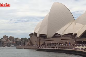 [Video] Căng thẳng ngoại giao mới giữa Australia và Israel về vấn đề Palestine 