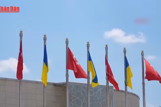 [Video] Ukraine xác nhận vòng hoà đàm tiếp theo với Nga