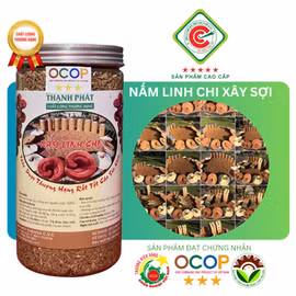 Trà nấm linh chi