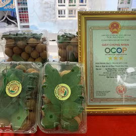 Thanh nhãn Hợp tác xã Hữu Tâm